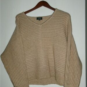 Vici Beige V-Neck Sweater